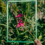 Arsenic Green Wood Picture Frame