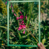 Arsenic Green Wood Picture Frame