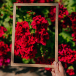Classic Oak Wood Picture Frame