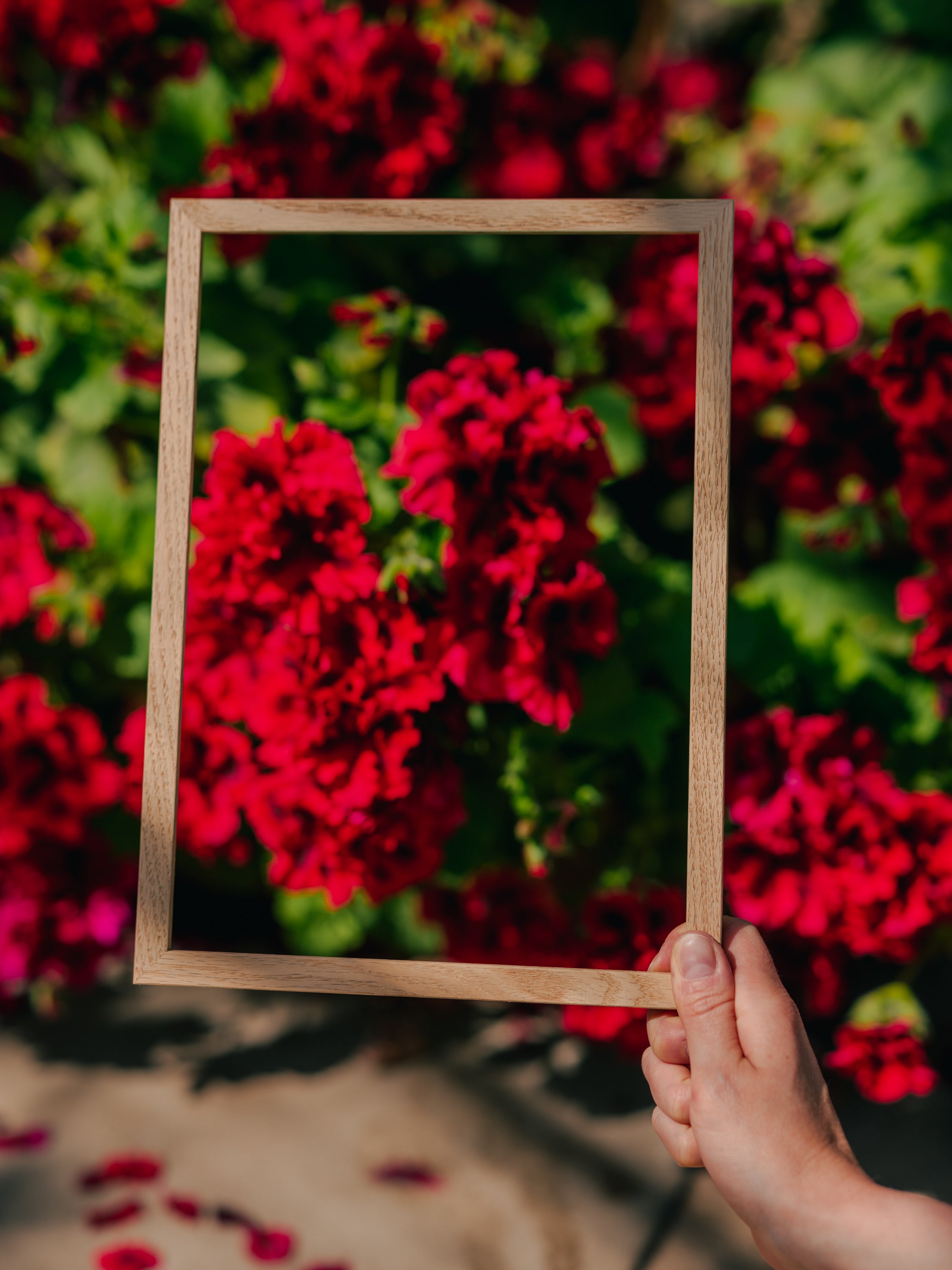 Classic Oak Wood Picture Frame