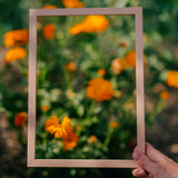 Plaster Pink Wood Picture Frame