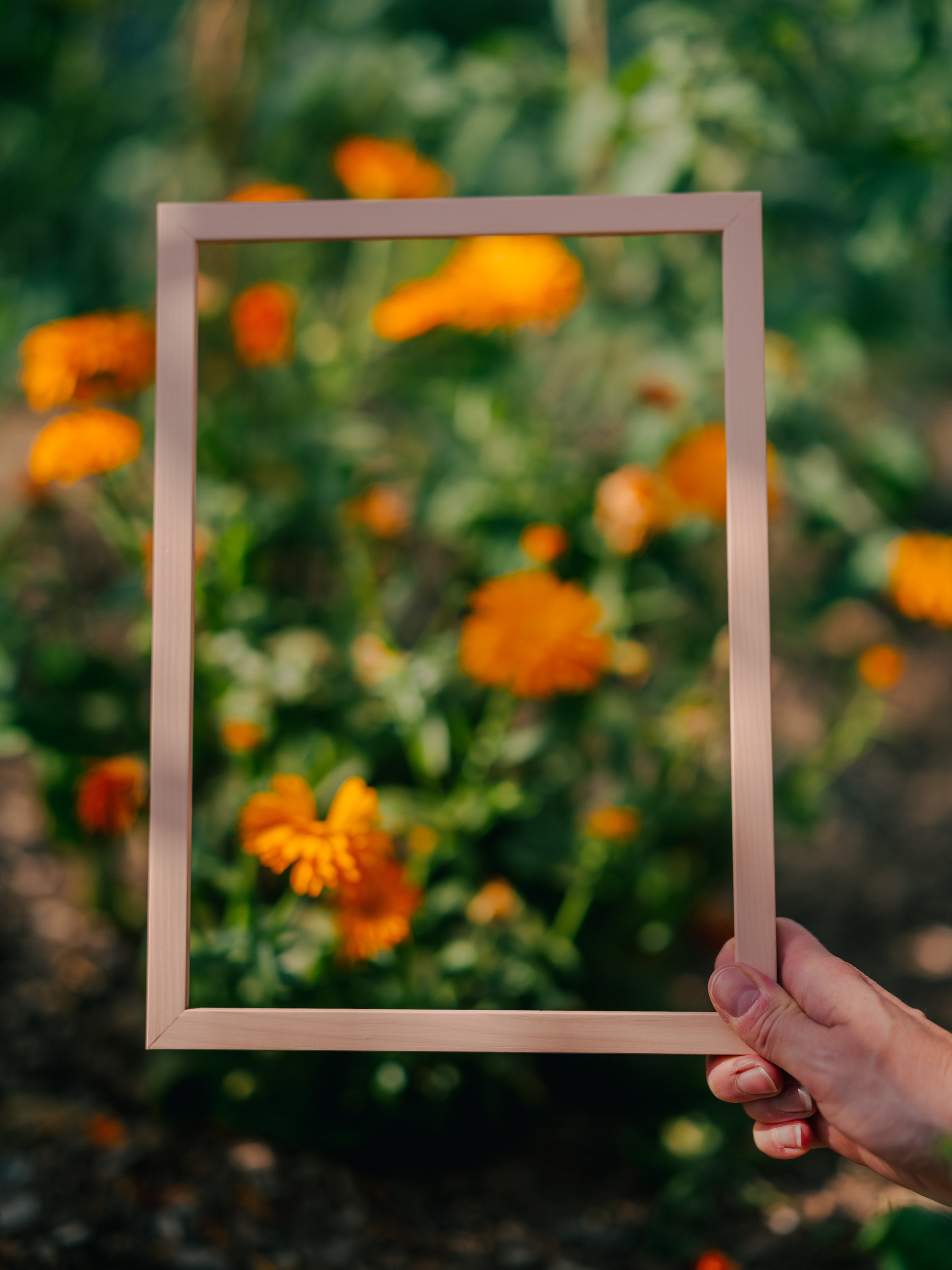 Plaster Pink Wood Picture Frame