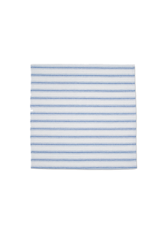 Cornflower Blue Stripe Napkins (Set of 2)