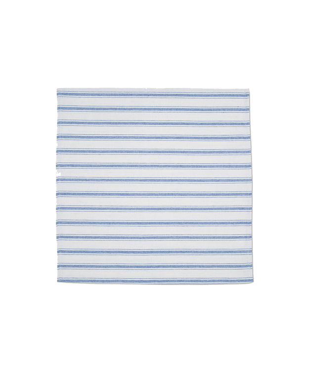 Cornflower Blue Stripe Napkins (Set of 2)