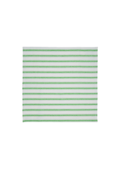 Lush Green Stripe Napkins (Set of 2)