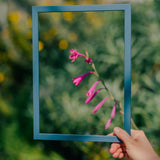 Petrol Blue Wood Picture Frame
