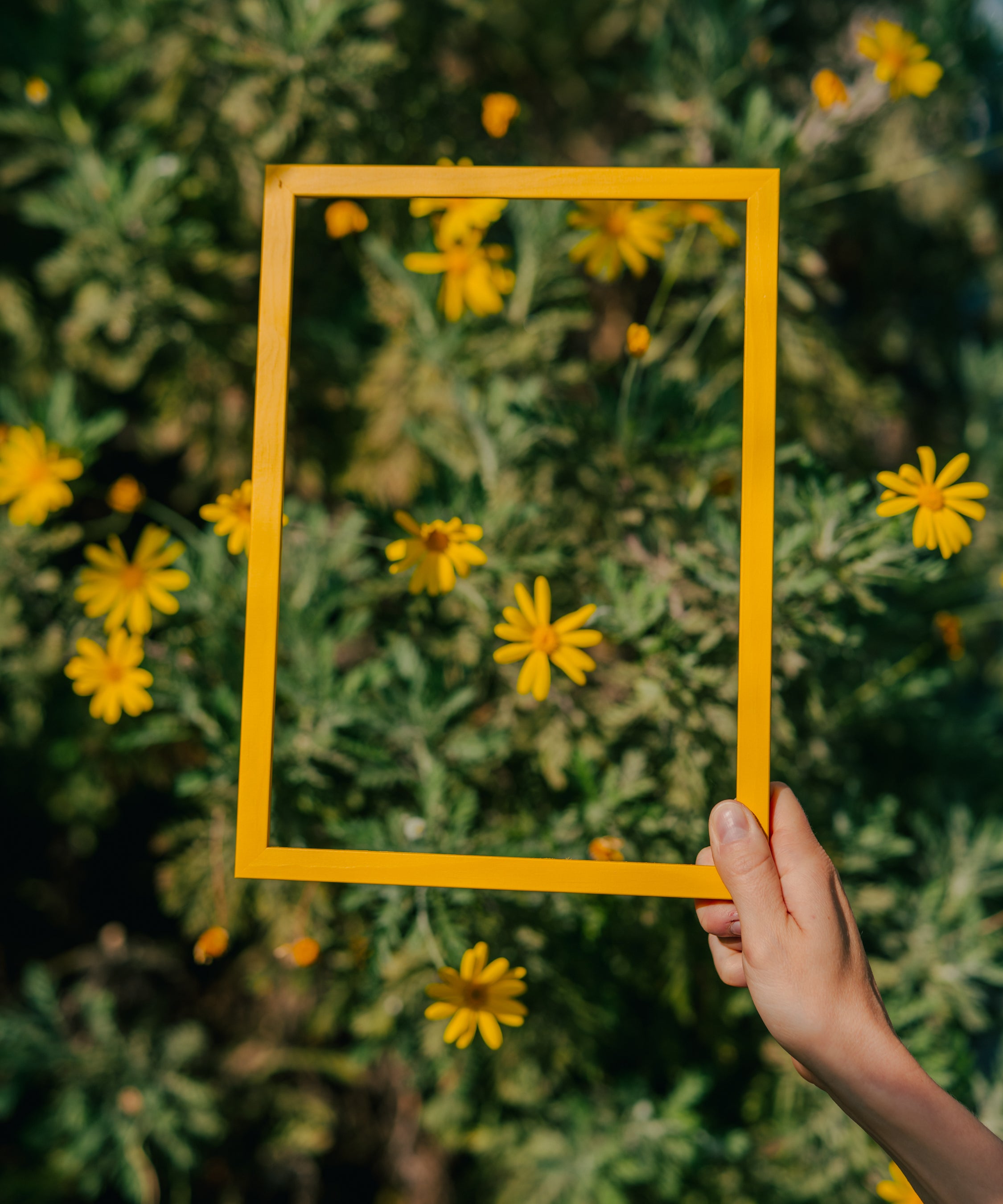 Naples Yellow Wood Picture Frame