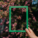 Emerald Green Solid Wood Picture Frame