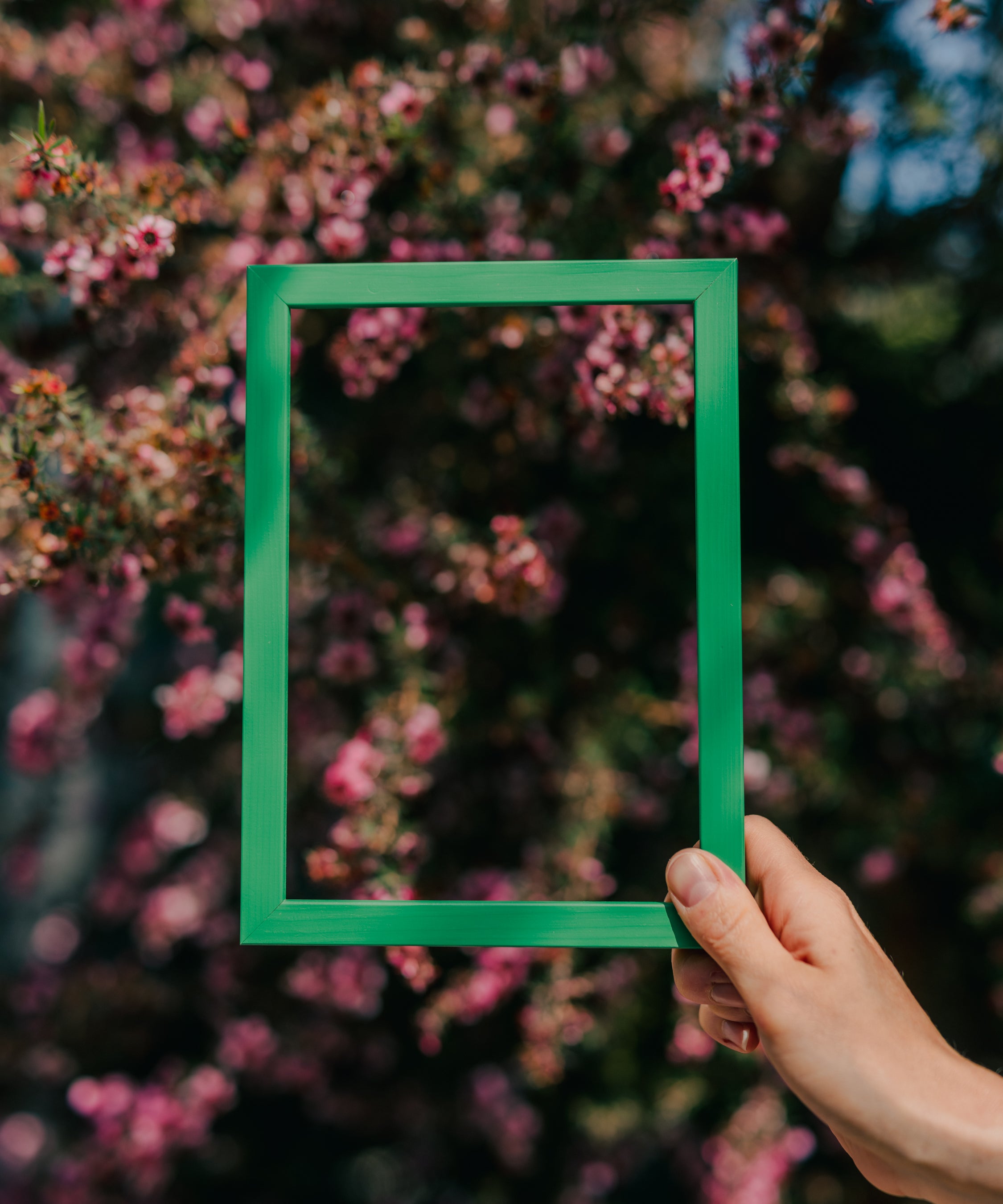 Emerald Green Solid Wood Picture Frame