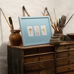 A light blue framed art print featuring three small botanical illustrations, styled on top of a rustic wooden chest of drawers with paintbrushes and pottery against a textured white wall.