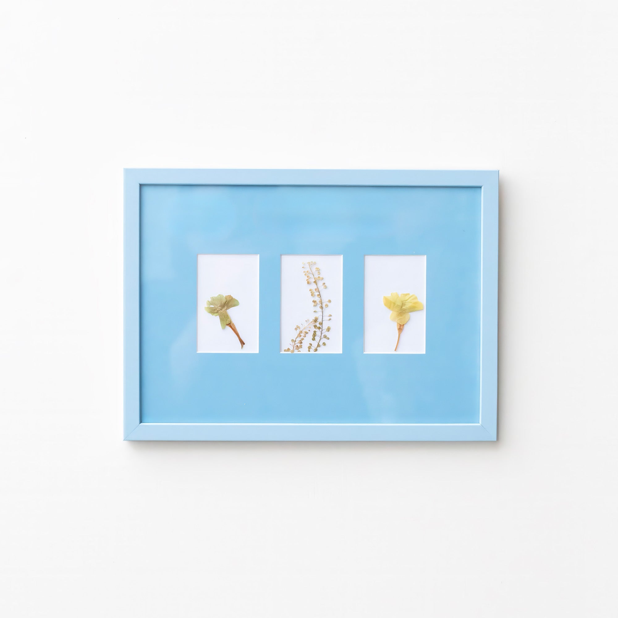Late Afternoon Sky Blue A4 Instax Mini x 3 Picture Mount and Sky Blue Frame