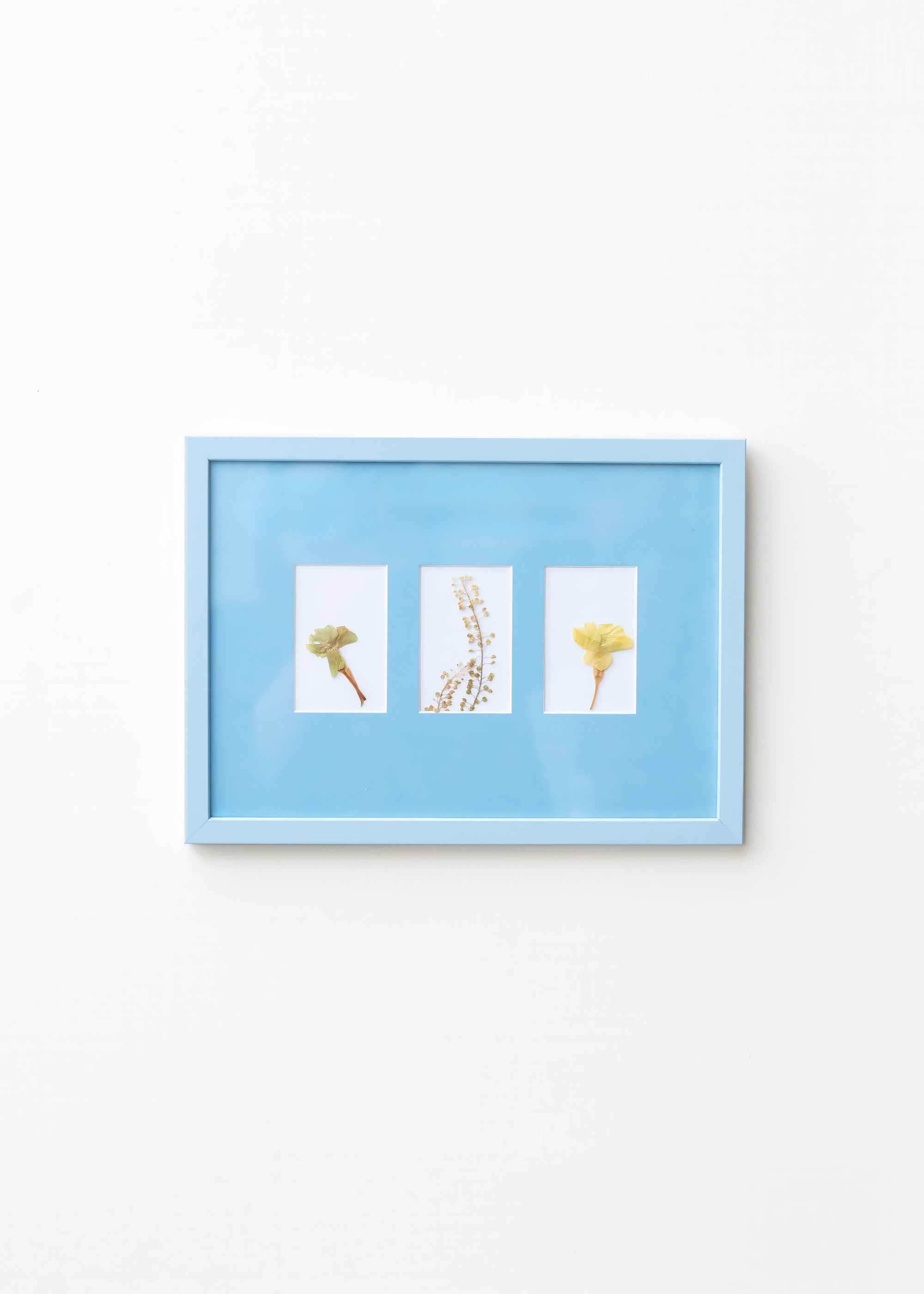 Late Afternoon Sky Blue A4 Instax Mini x 3 Picture Mount and Sky Blue Frame