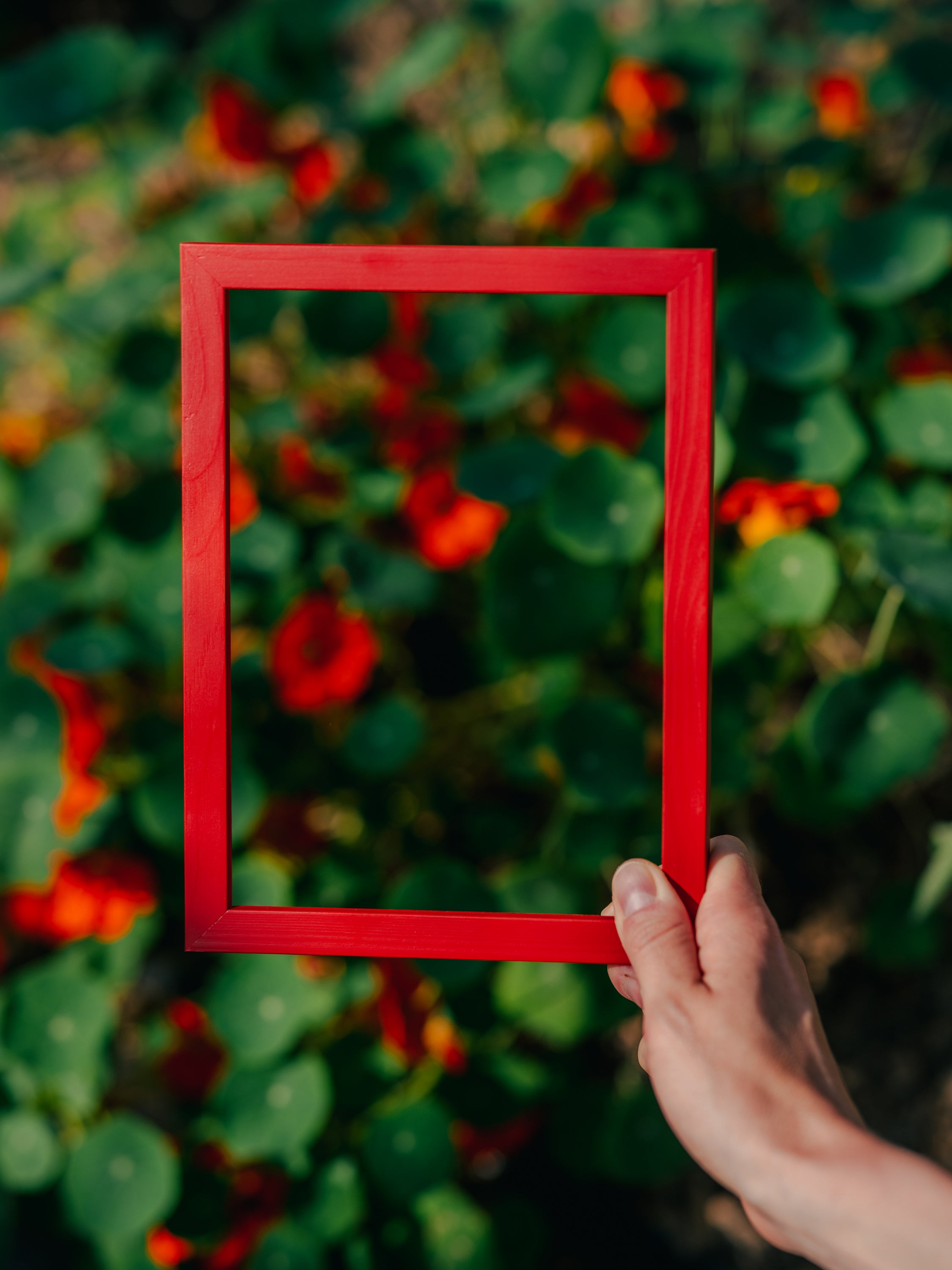 Venetian Red Wood Picture Frame
