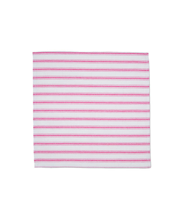 Punch Pink Stripe Napkins (Set of 2)