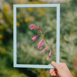 Sky Blue Wood Picture Frame